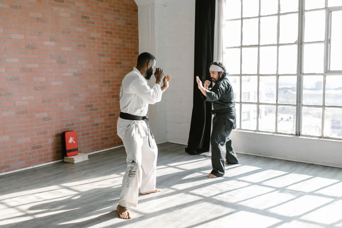 Kung fu animalier : comparatif des styles les plus célèbres