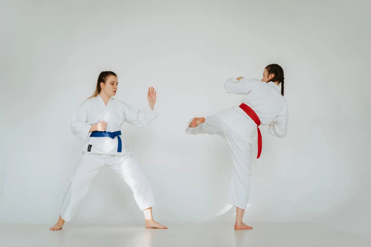 Combien coûte un kimono karaté haut de gamme en 2024 ? Guide prix complet